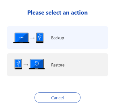 Figure 5 : Pick the backup option